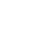 ball icon